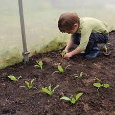 2planting seeds