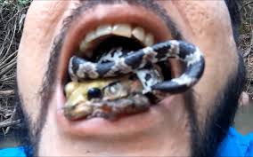 Deadly Poison in Your&nbsp;Mouth