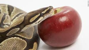 sustained through temptation &&nbsp;trials