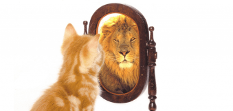 confidence-farzana-featured-1024x489